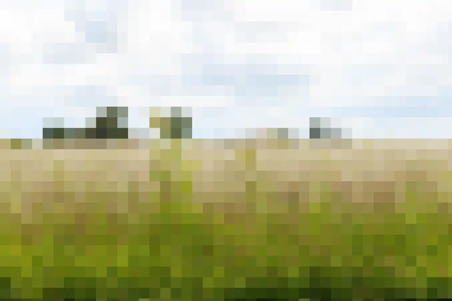 Westerbuorren 11 Tzummarum thumbnail 19