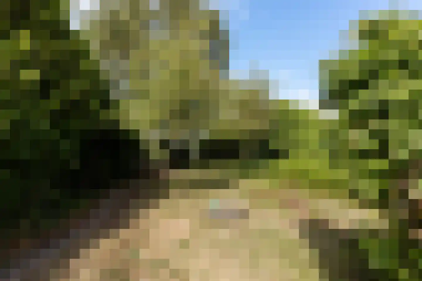 Westerbuorren 11 Tzummarum thumbnail 21