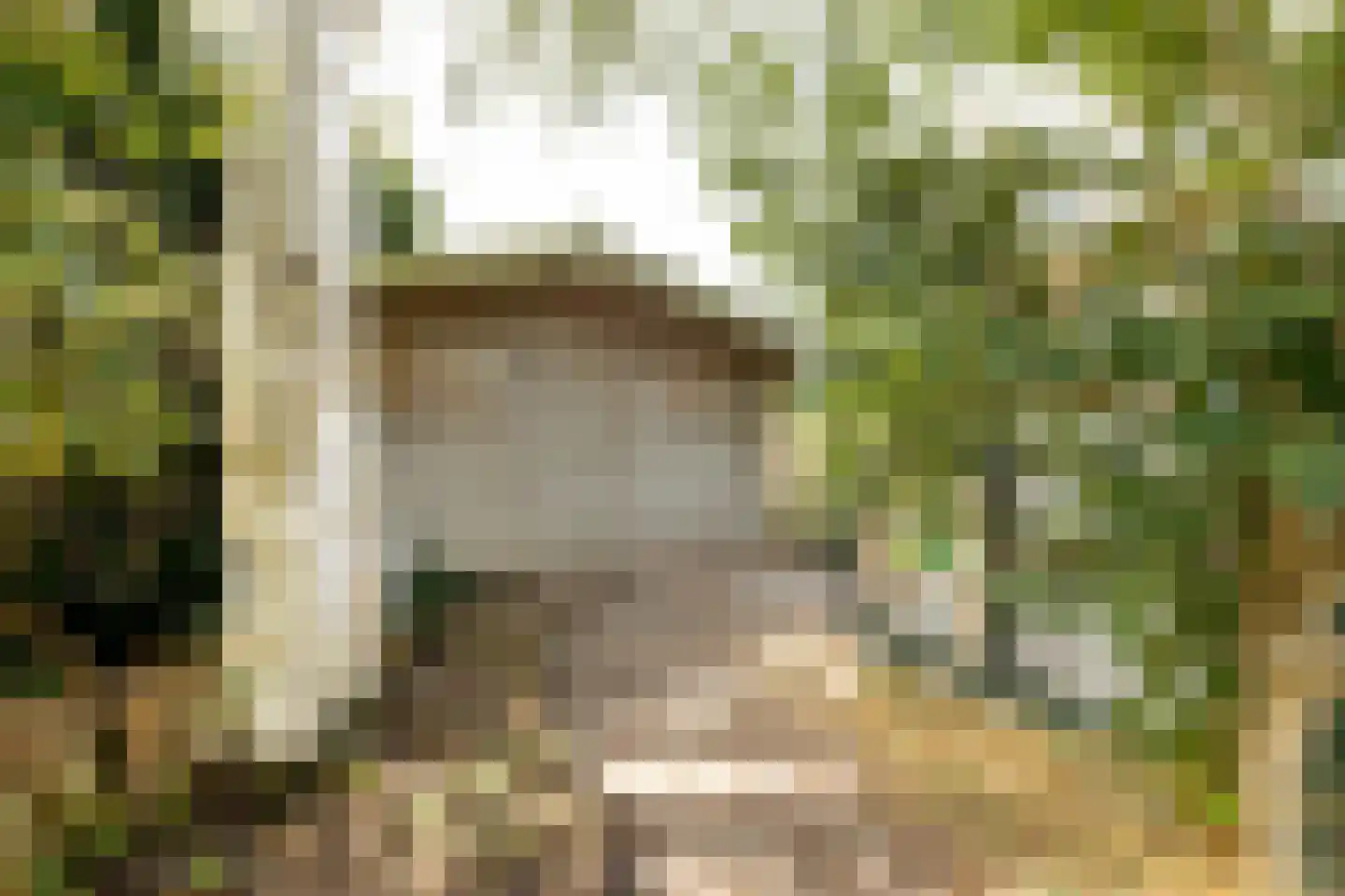 Westerbuorren 11 Tzummarum thumbnail 22