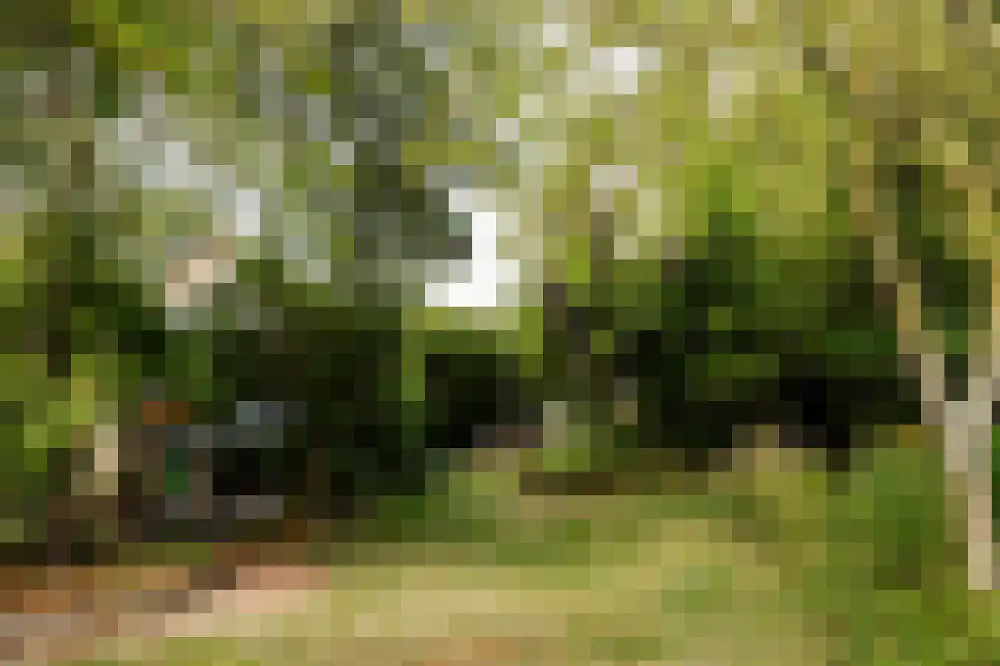 Westerbuorren 11 Tzummarum thumbnail 23