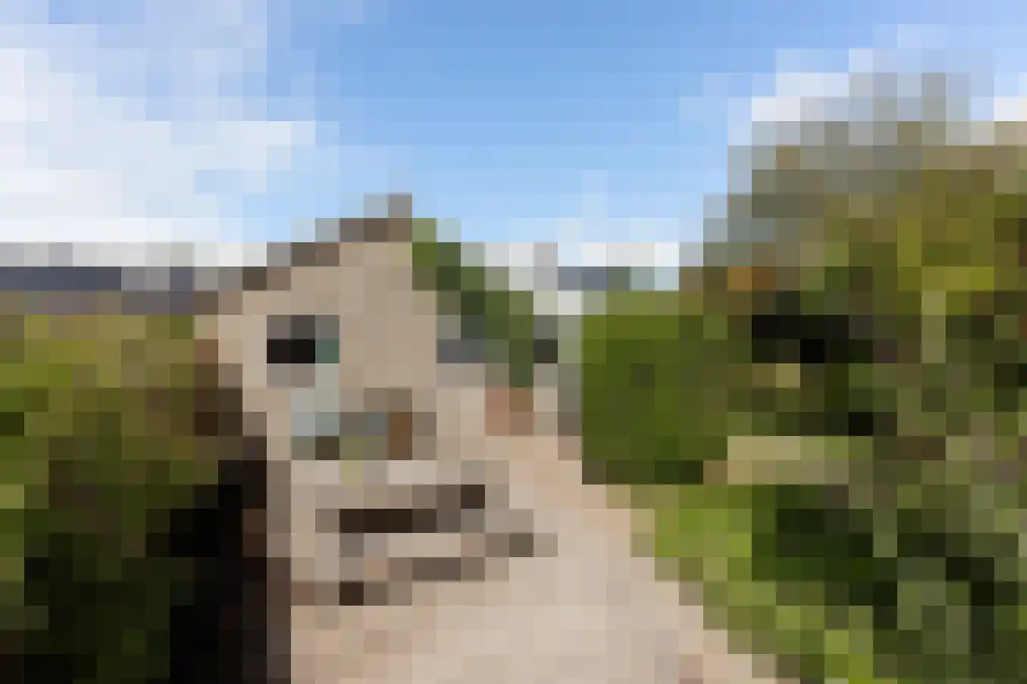Westerbuorren 11 Tzummarum thumbnail 26
