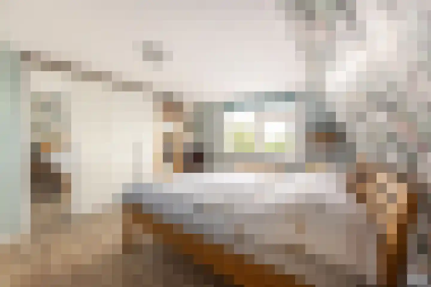 Westerbuorren 11 Tzummarum thumbnail 30