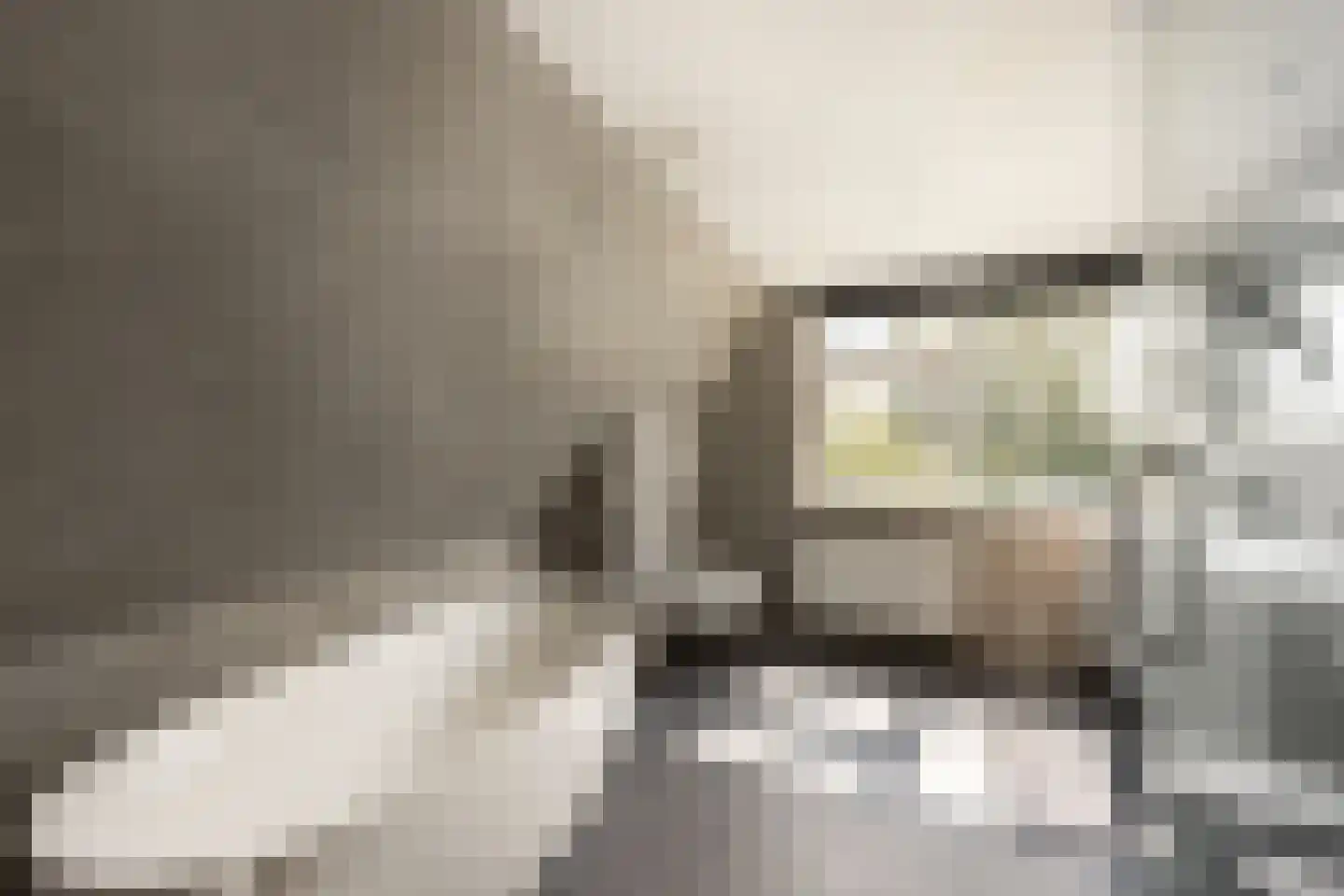 Westerbuorren 11 Tzummarum thumbnail 32
