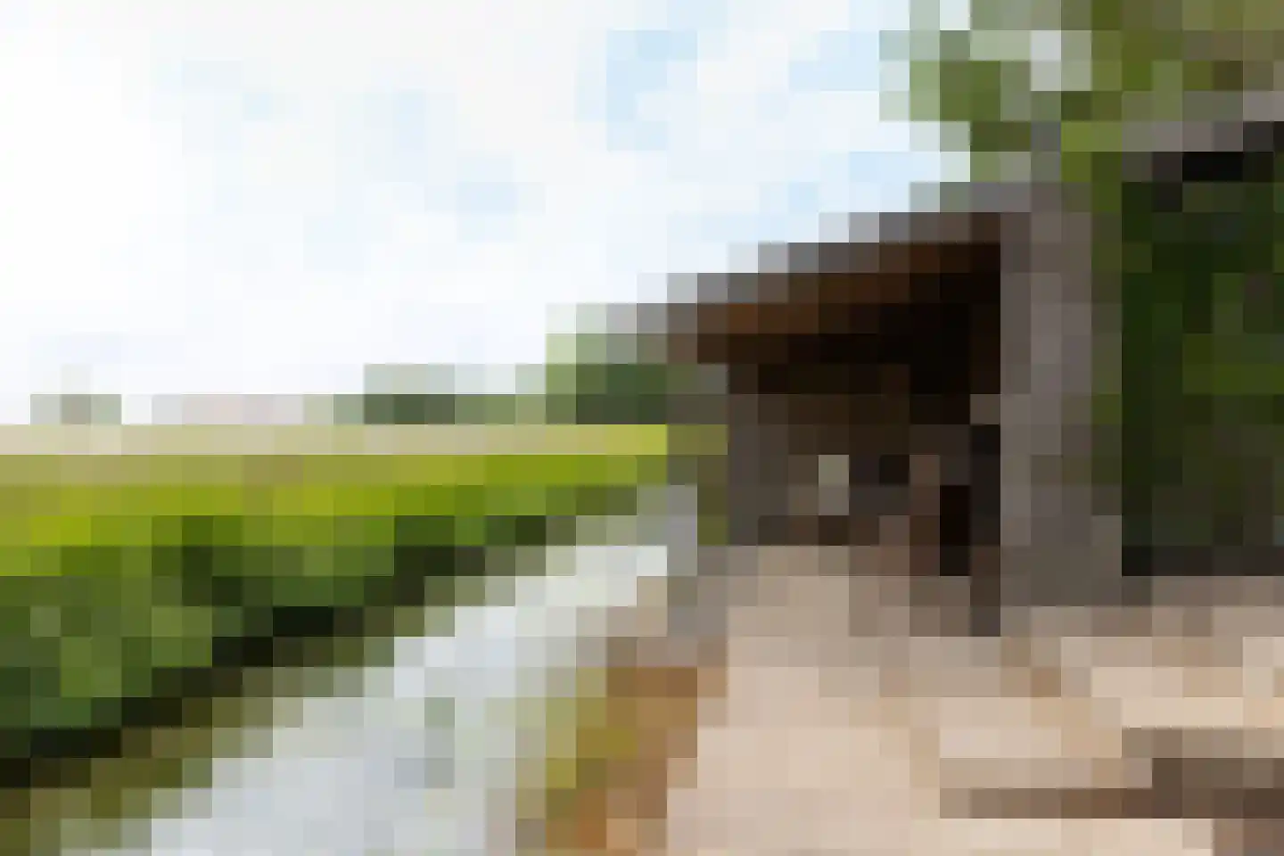 Westerbuorren 11 Tzummarum thumbnail 4