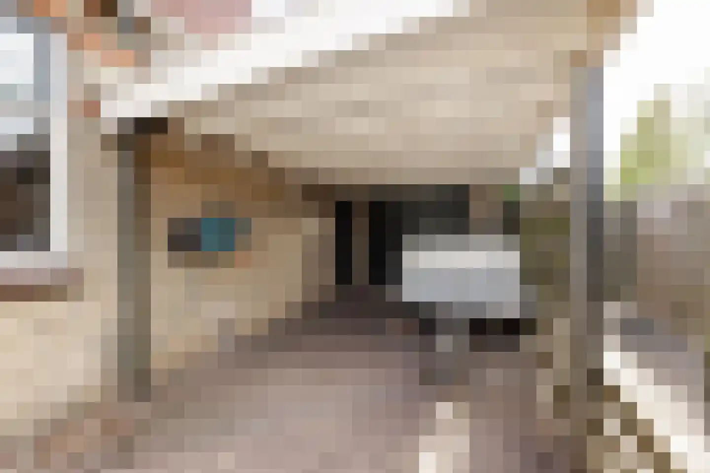 Westerbuorren 11 Tzummarum thumbnail 8