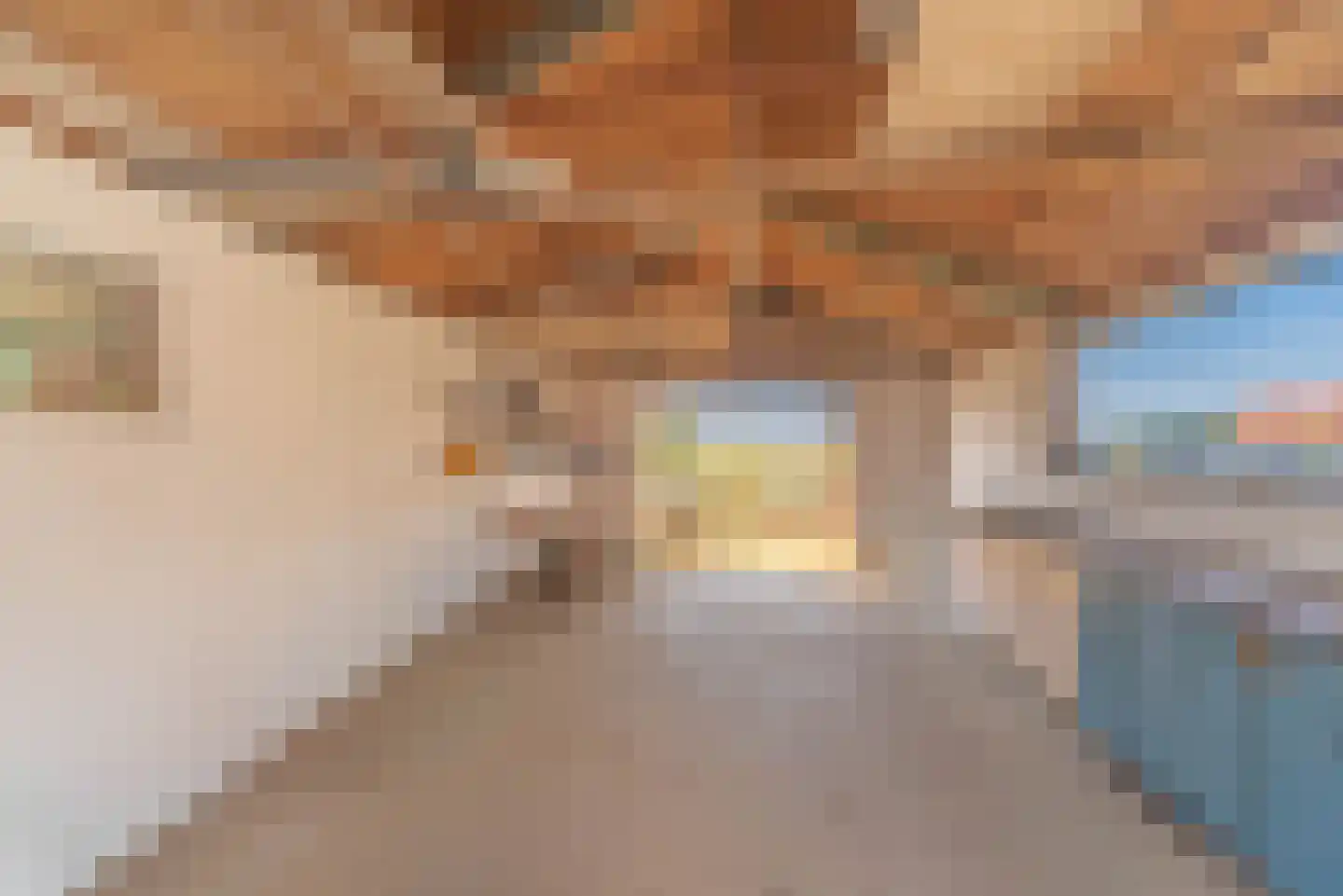 Westerbuurt 7 Venhuizen thumbnail 66