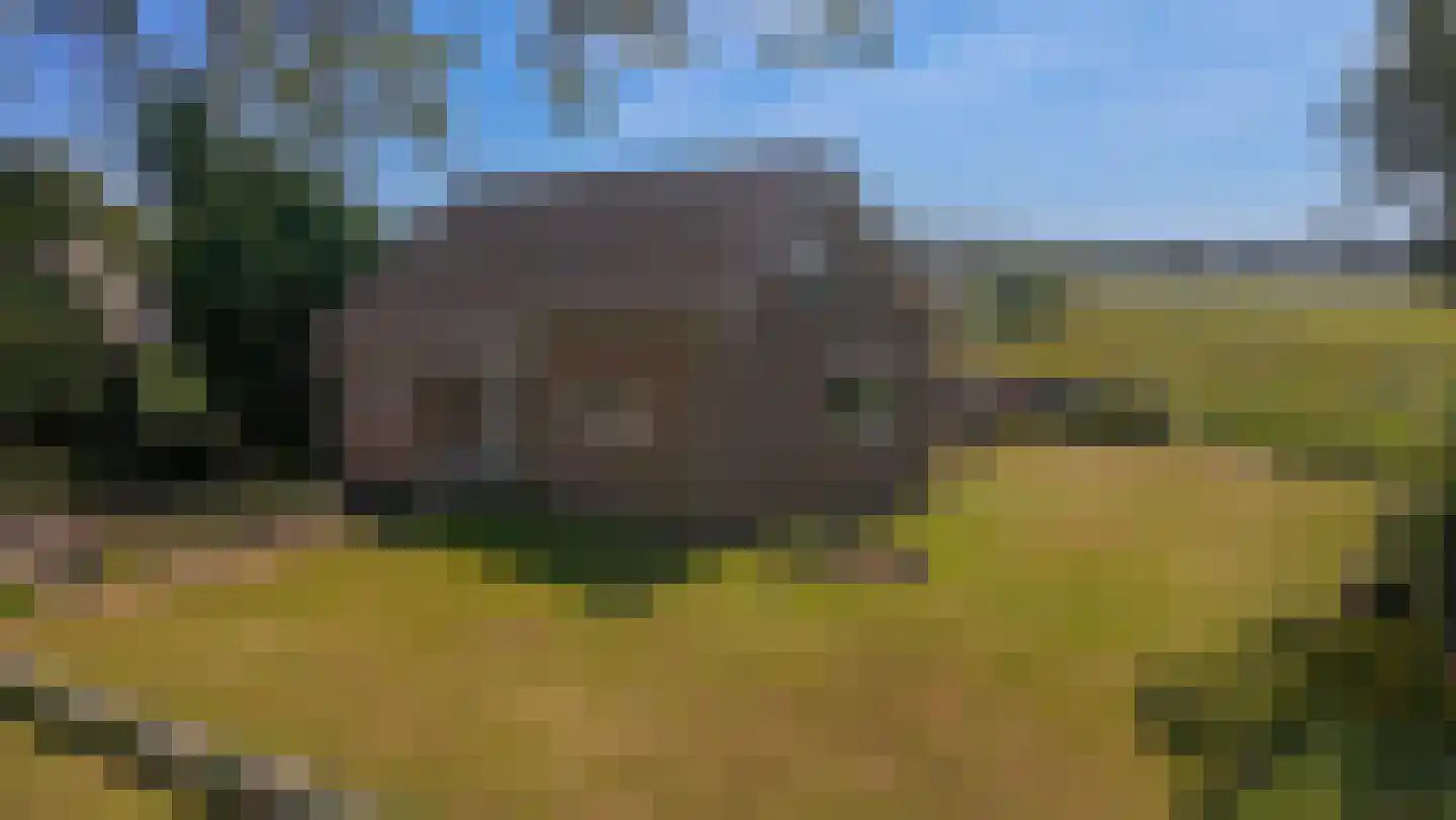 Westerbuurt 7 Venhuizen thumbnail 90