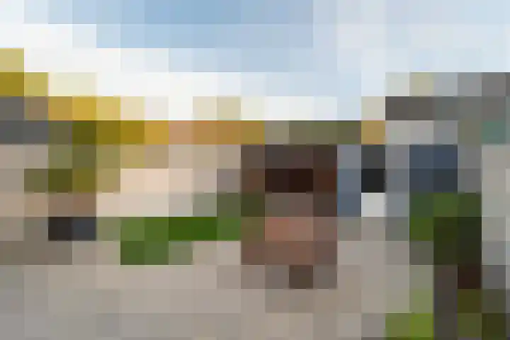 Westercluft 114 Steenwijk thumbnail 16