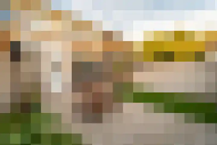 Westercluft 114 Steenwijk thumbnail 17