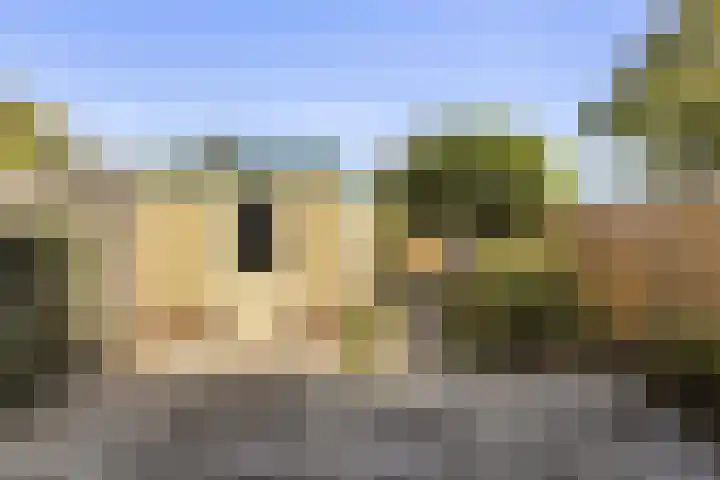 Westercluft 128 Steenwijk thumbnail 5