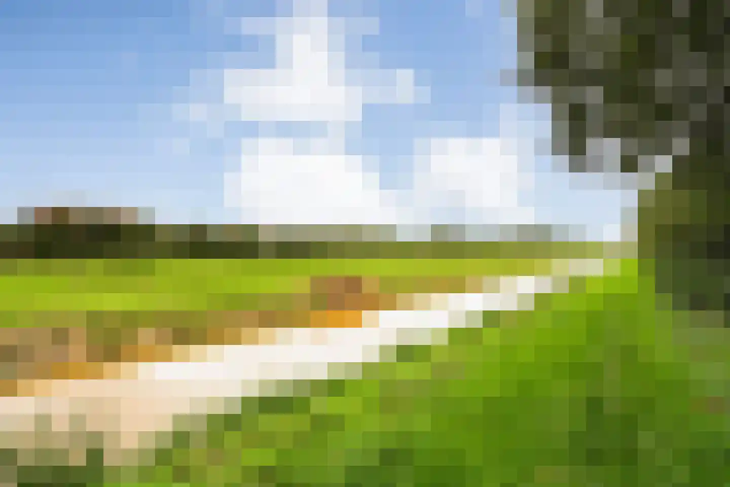 Westercluft 160 Steenwijk thumbnail 48