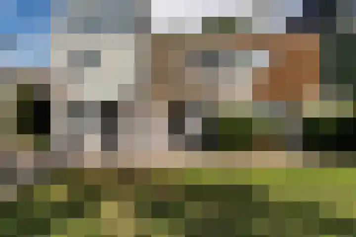 Westercluft 166 B Steenwijk thumbnail 6