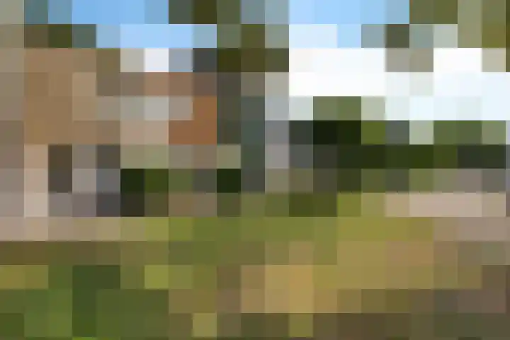 Westercluft 166 B Steenwijk thumbnail 7