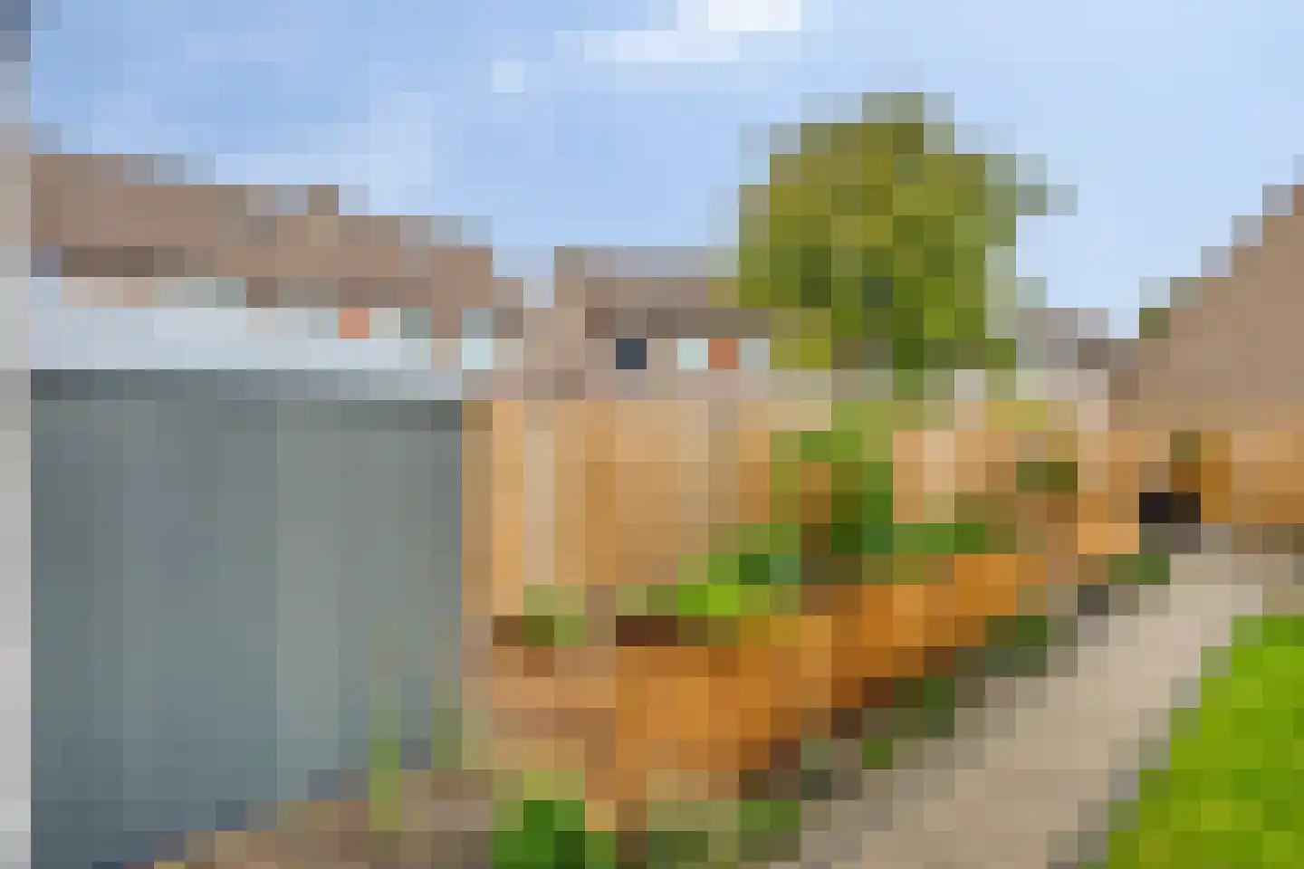 Westerd 76 Meppel thumbnail 59