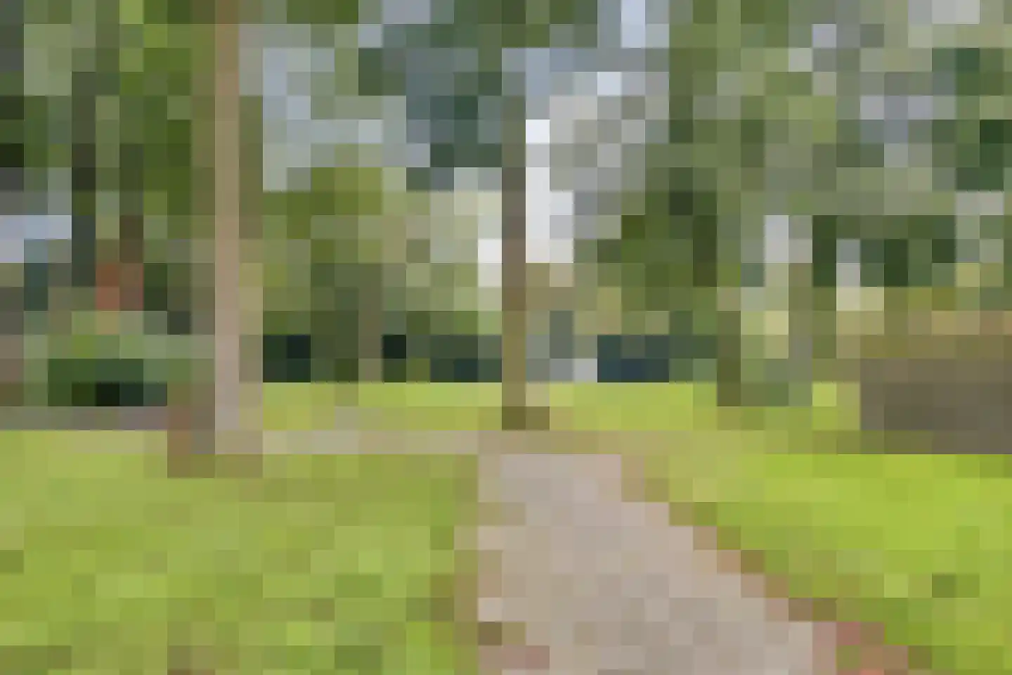Westerd 76 Meppel thumbnail 65