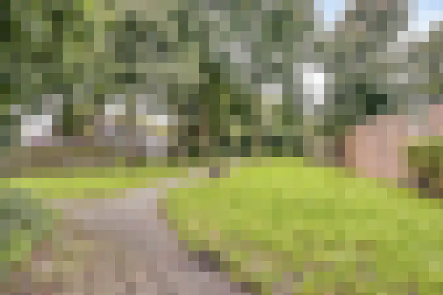 Westerd 76 Meppel thumbnail 69