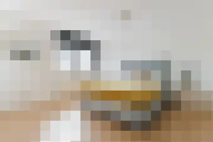 Westerdelle 11 Petten thumbnail 14