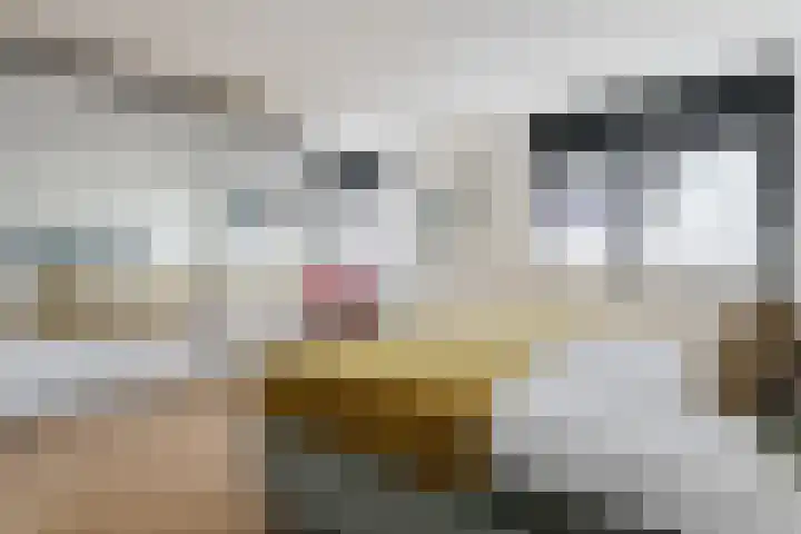 Westerdelle 11 Petten thumbnail 15