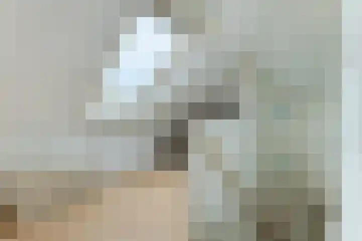 Westerdelle 11 Petten thumbnail 22