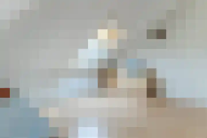 Westerdelle 11 Petten thumbnail 23