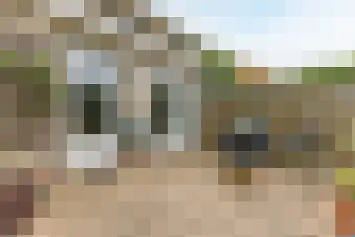 Westerdelle 11 Petten thumbnail 26