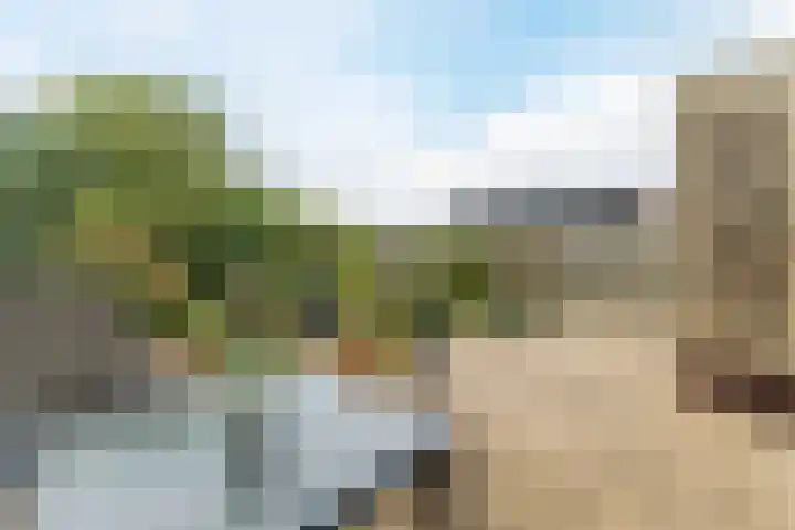 Westerdelle 11 Petten thumbnail 27