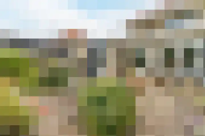 Westerdelle 11 Petten thumbnail 28