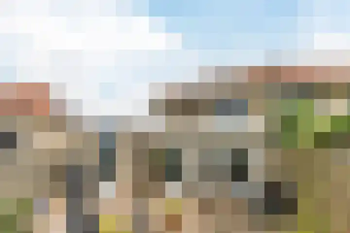 Westerdelle 11 Petten thumbnail 31