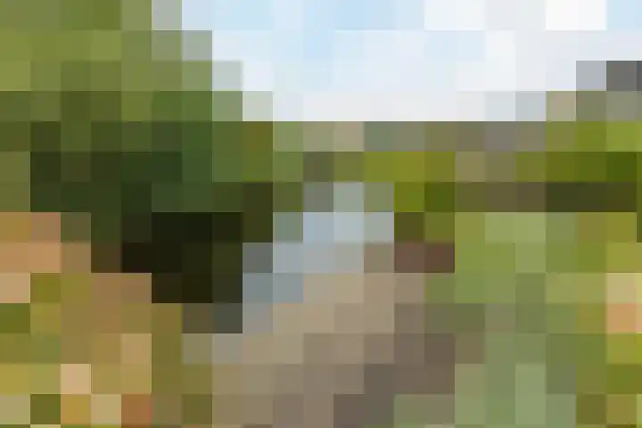 Westerdelle 11 Petten thumbnail 32