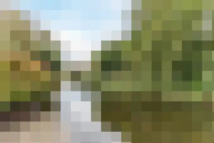 Westerdelle 11 Petten thumbnail 33