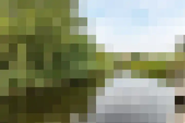 Westerdelle 11 Petten thumbnail 34