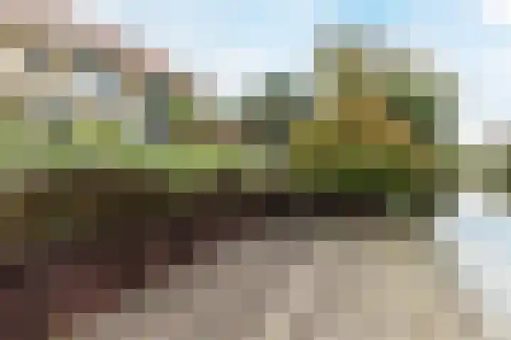Westerdelle 11 Petten thumbnail 35