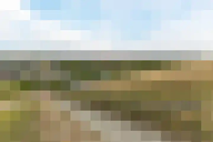 Westerdelle 11 Petten thumbnail 37