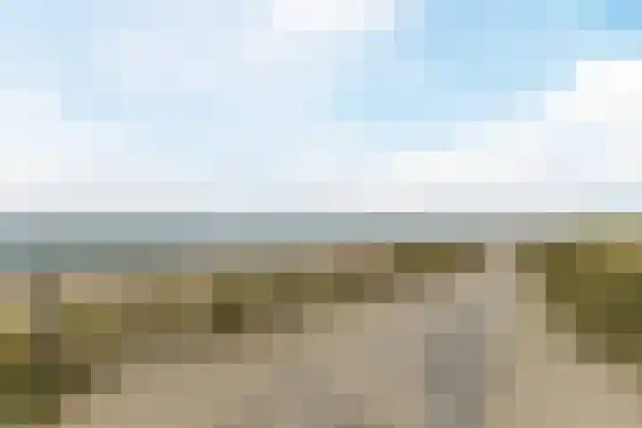 Westerdelle 11 Petten thumbnail 39