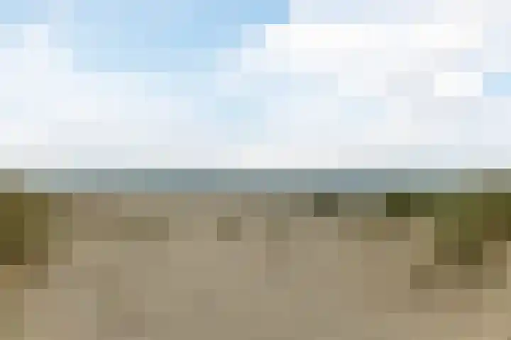 Westerdelle 11 Petten thumbnail 40