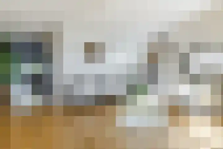Westerdelle 11 Petten thumbnail 5
