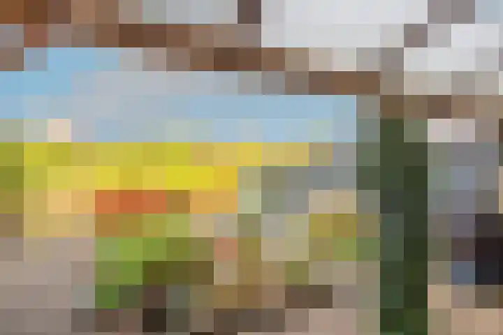 Westerdelle 29 Petten thumbnail 12