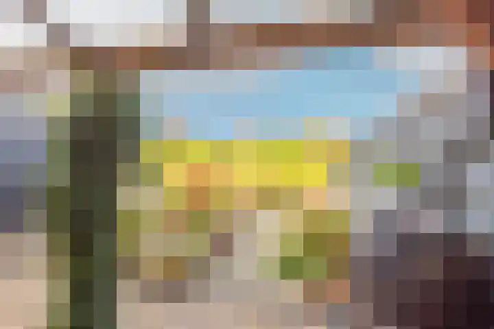 Westerdelle 29 Petten thumbnail 13