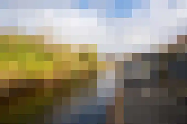 Westerdelle 29 Petten thumbnail 14