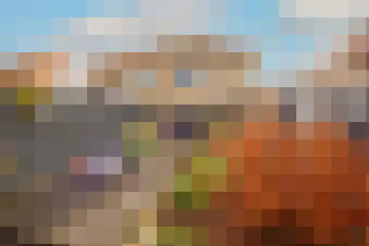 Westerdelle 29 Petten thumbnail 15