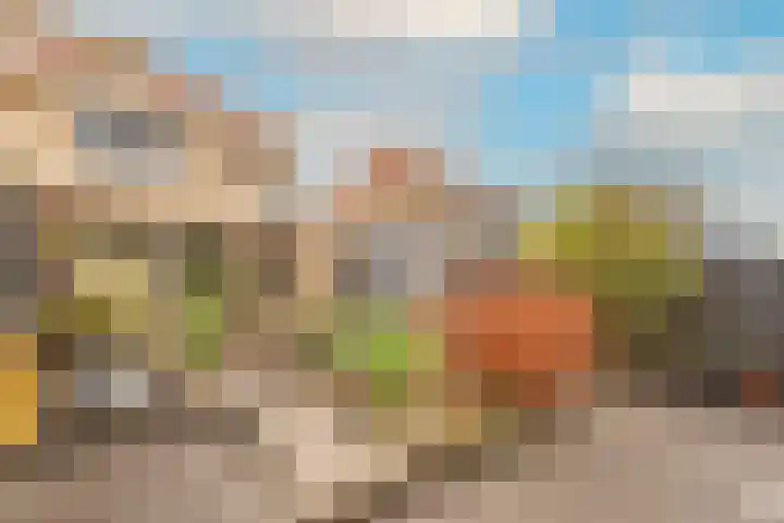 Westerdelle 29 Petten thumbnail 16