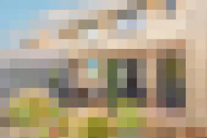 Westerdelle 29 Petten thumbnail 17
