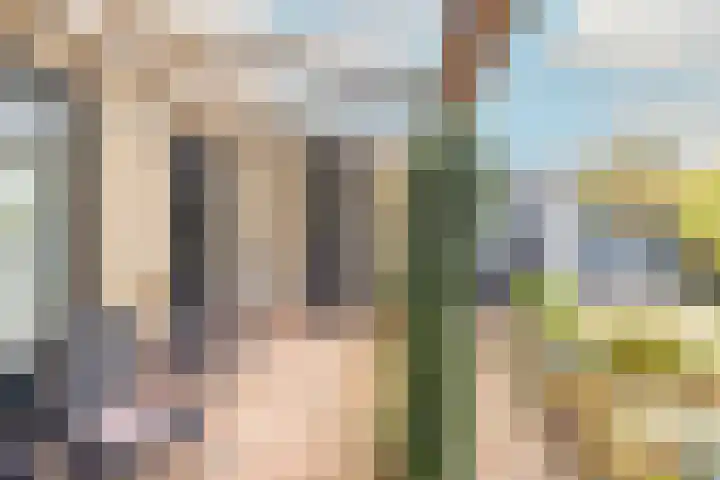 Westerdelle 29 Petten thumbnail 19