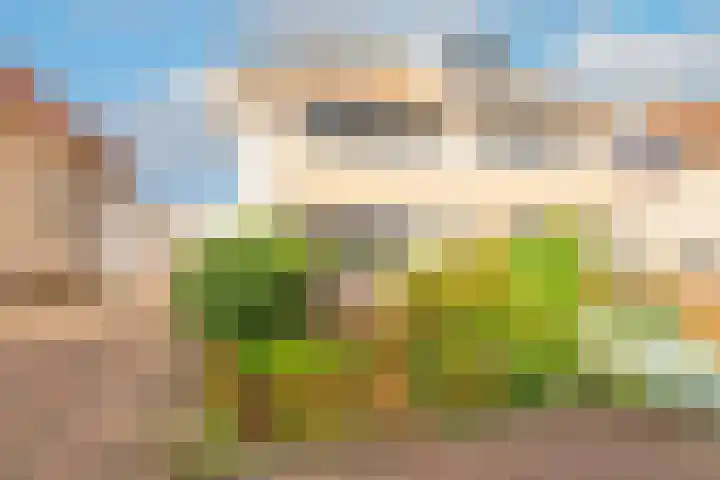 Westerdelle 29 Petten thumbnail 20