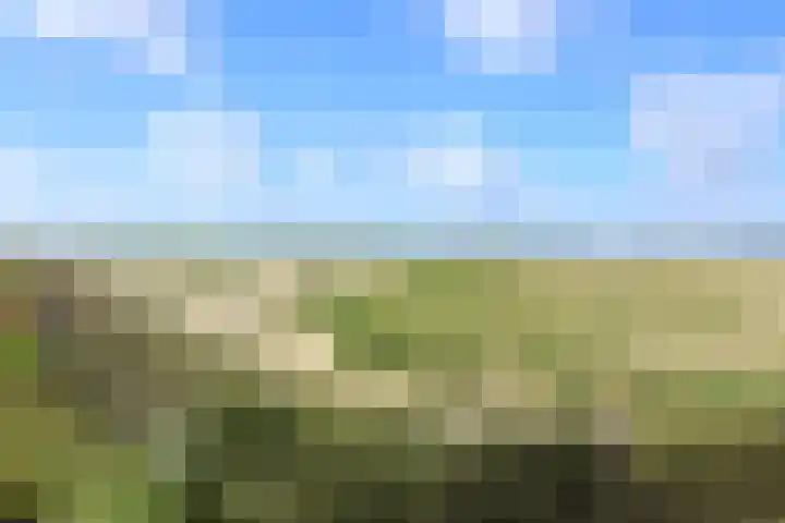 Westerdelle 29 Petten thumbnail 37