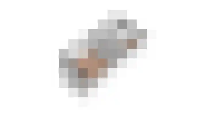 Westerdelle 29 Petten thumbnail 44