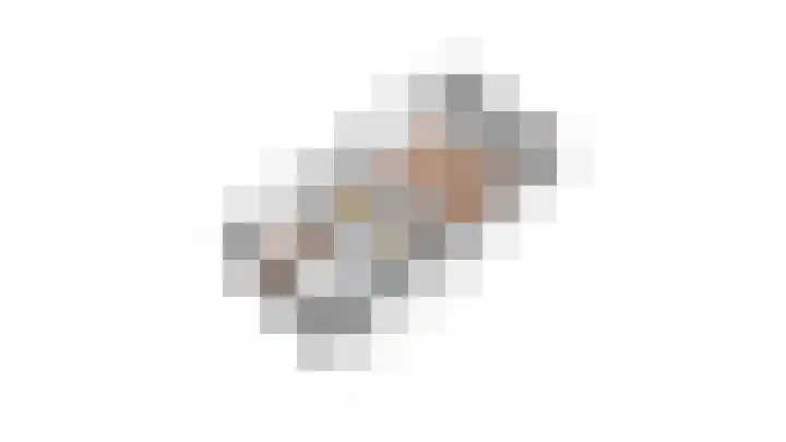 Westerdelle 29 Petten thumbnail 45