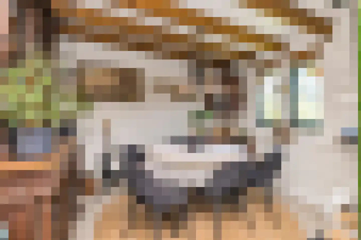Westerdelle 32 Petten thumbnail 21