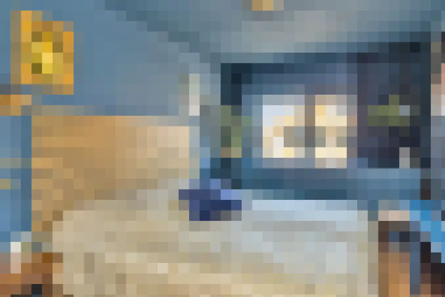 Westerdelle 32 Petten thumbnail 24