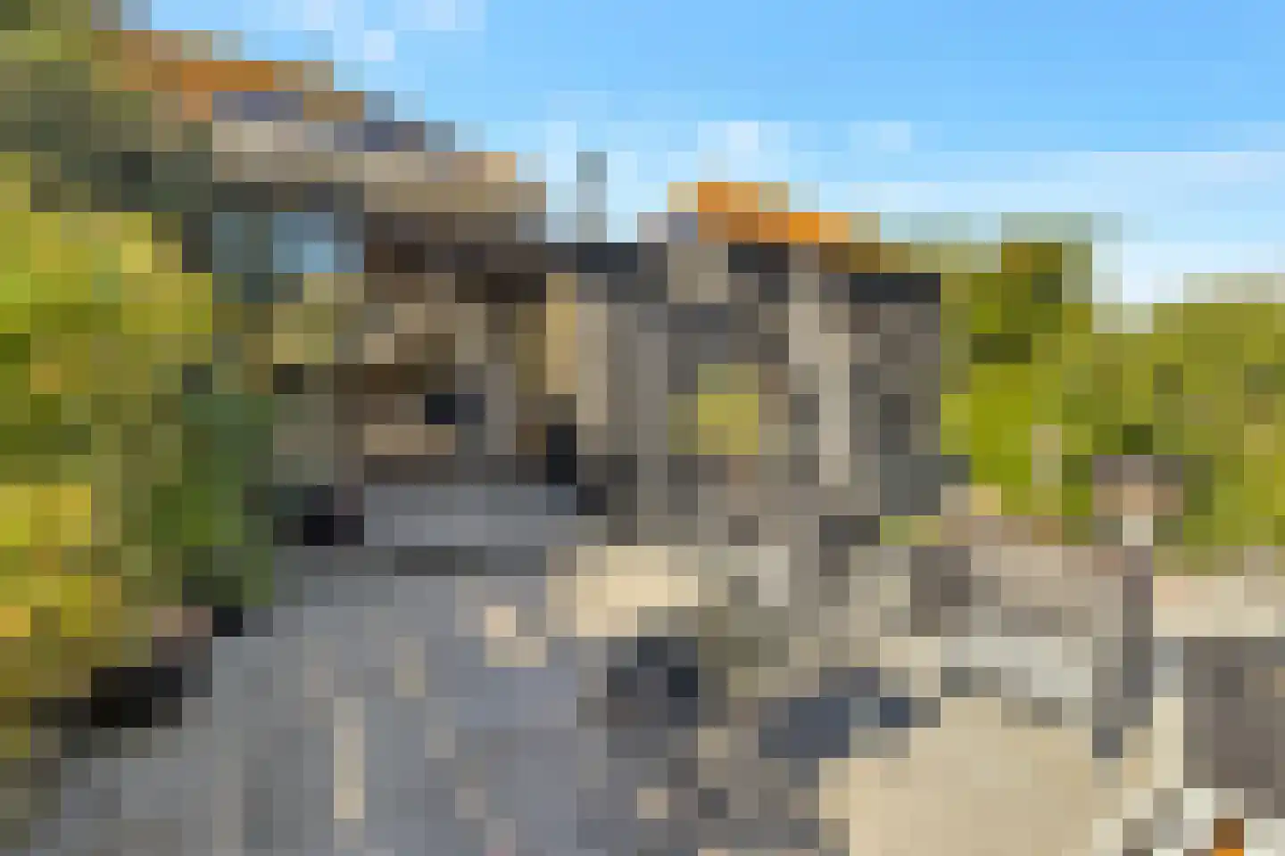 Westerdelle 32 Petten thumbnail 37